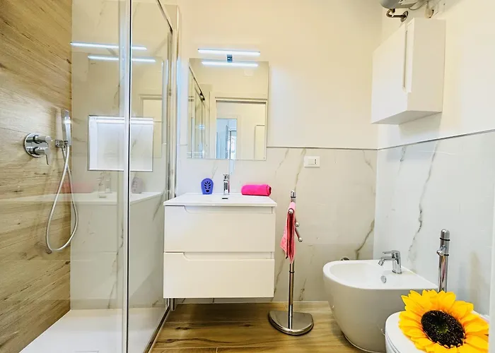 New Splendid 比比翁